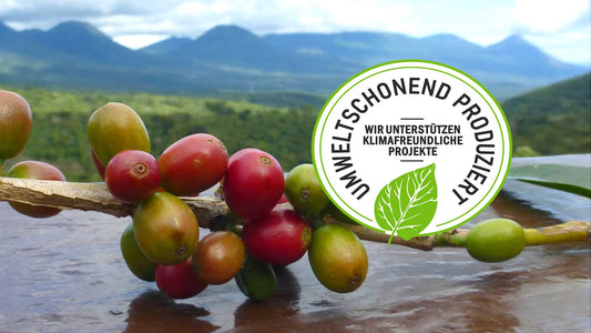 CO2 Ausgleich mit "Plant for the Planet"